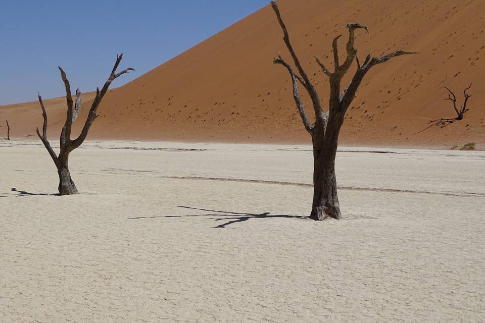 Dead Vlei Namibia