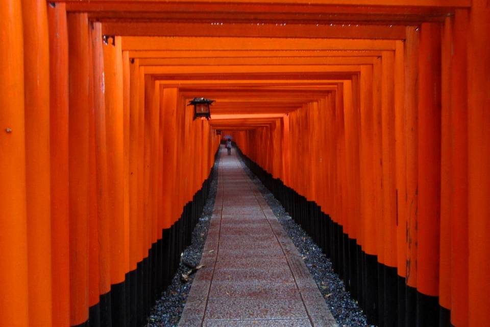 Fushimi Inari Kyoto Japan