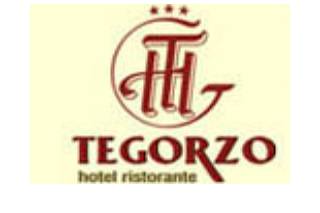 Tegorzo logo