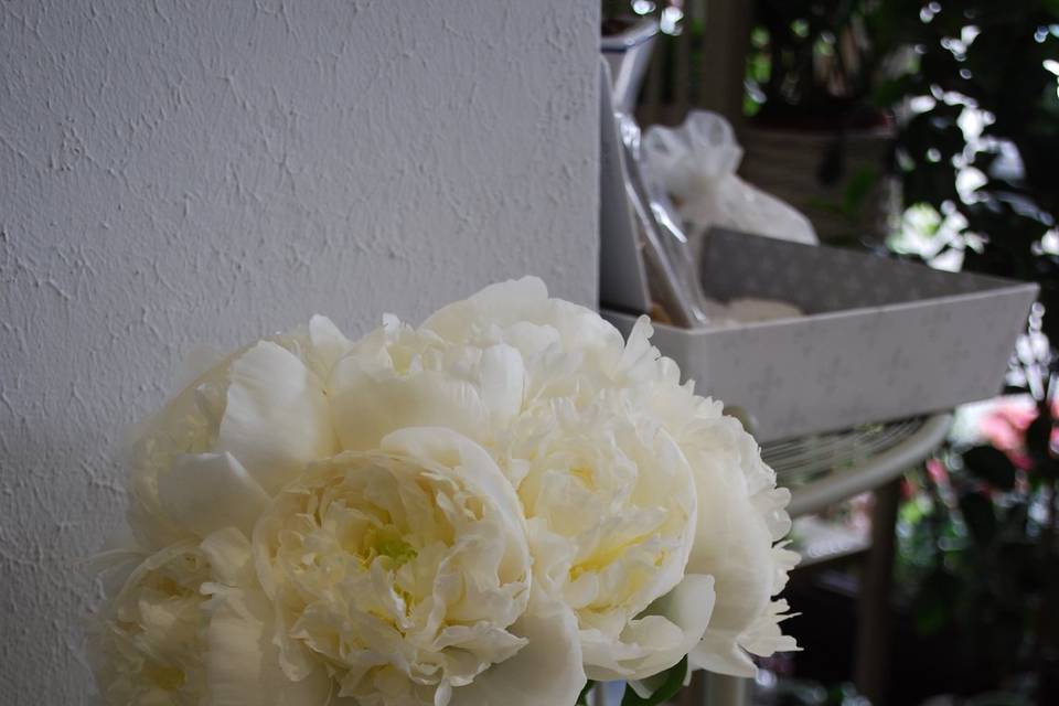 Bouquet di peonie bianche