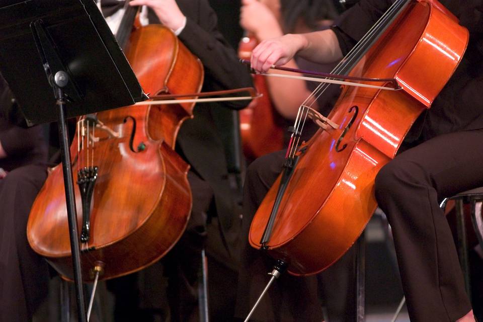 Violoncellista