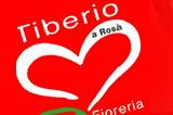 Tiberio Bisinella Logo