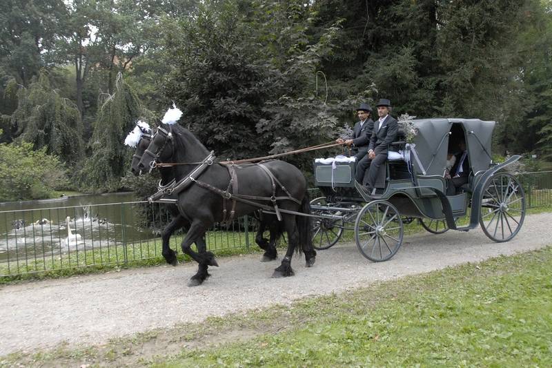 Carrozza a Villa Serra