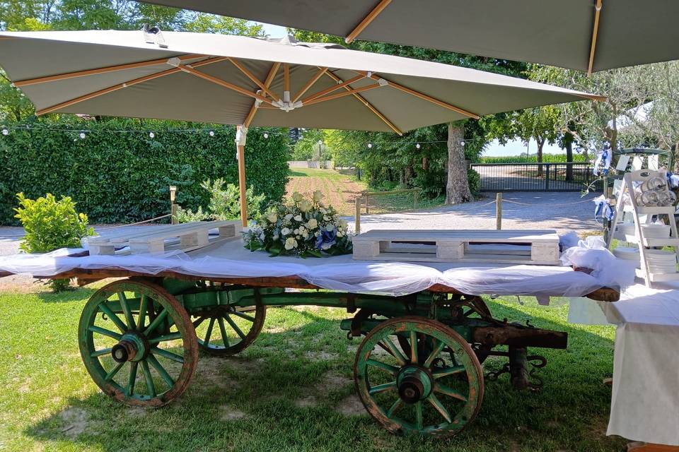 Dettagli giardino