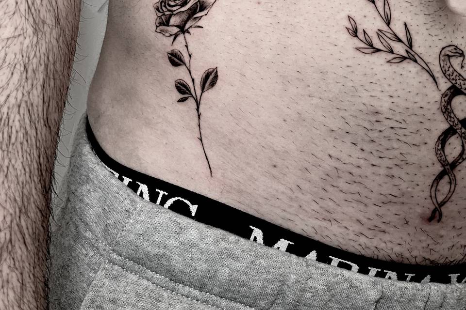 Rosellina fine Line