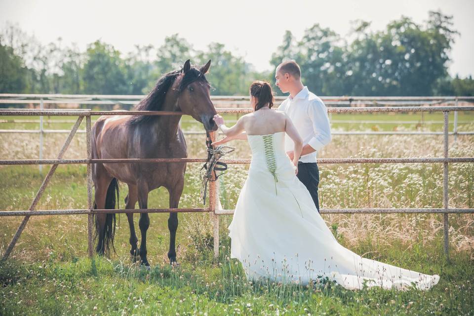 Location matrimonio cavalli