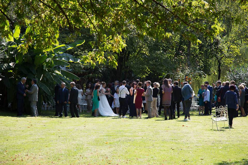 Eventi nel Parco Secolare