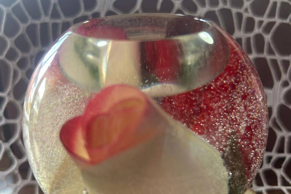 Le Rose di Anna