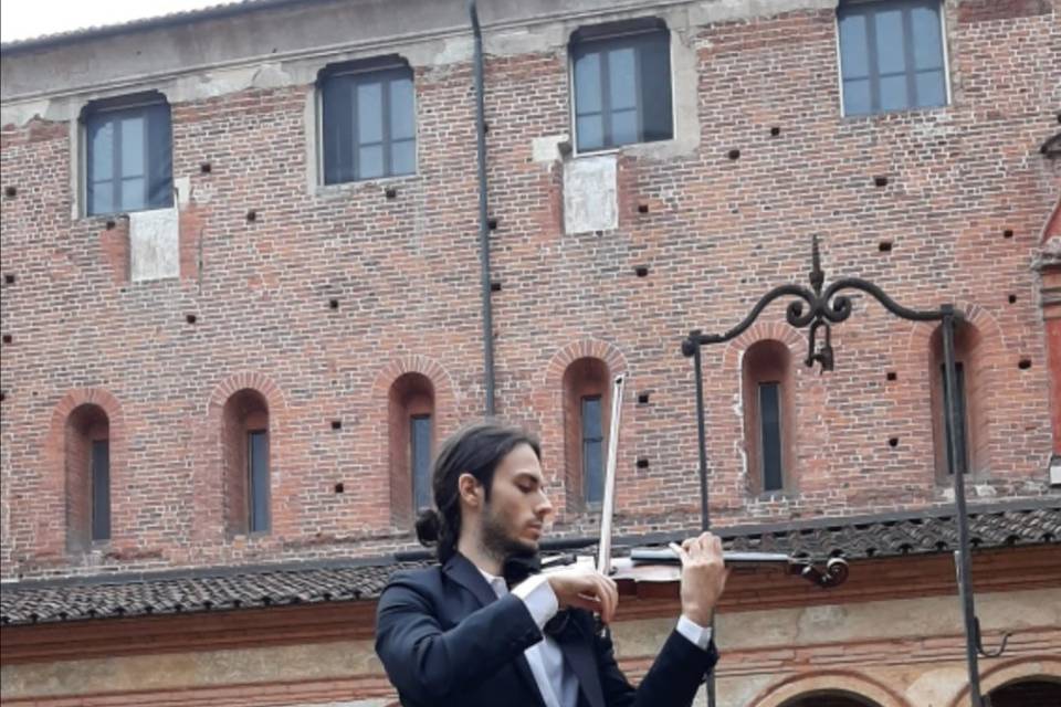 Violino nel chiostro