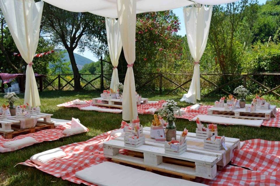 Pic nic in Oasis