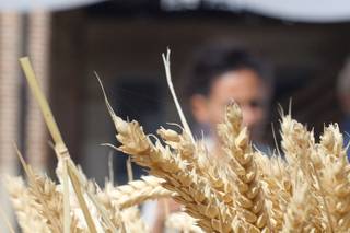 Giulia Emma Nocerino