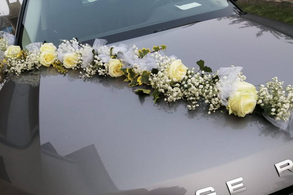 Decorazione auto