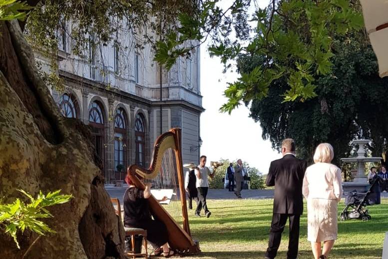 Arpa Aperitivo