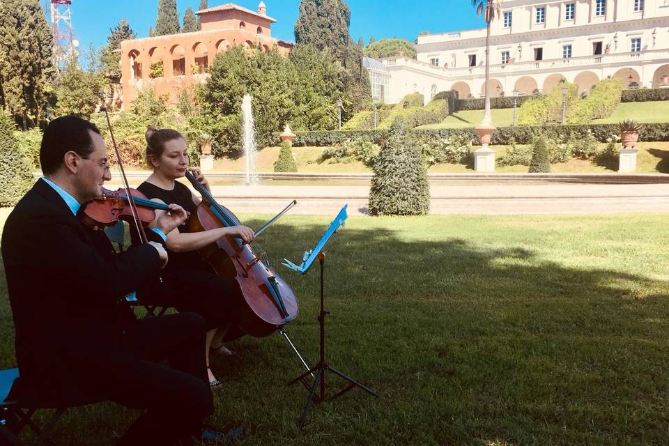 Violino cello Aperitivo