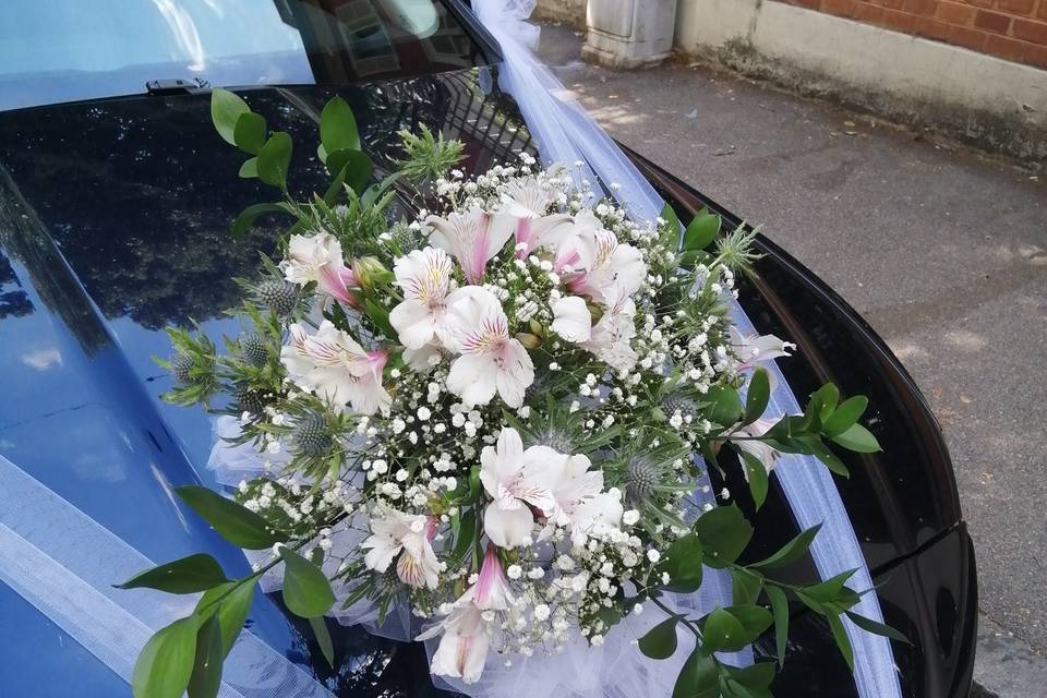Decorazione auto