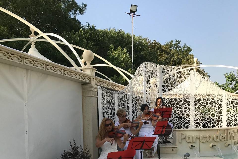 Quartetto d archi Aperitivo