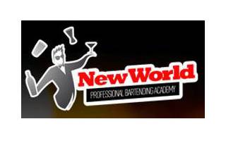 New World Academy - logo