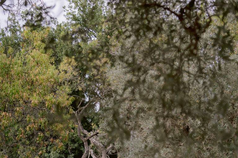 Wedding in tuscany