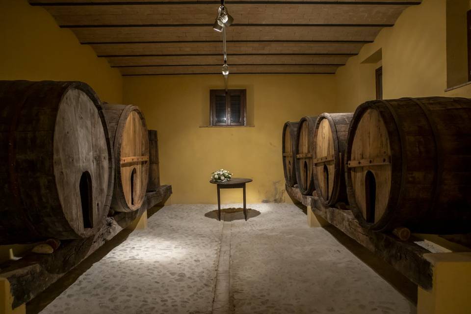 Cantina museale