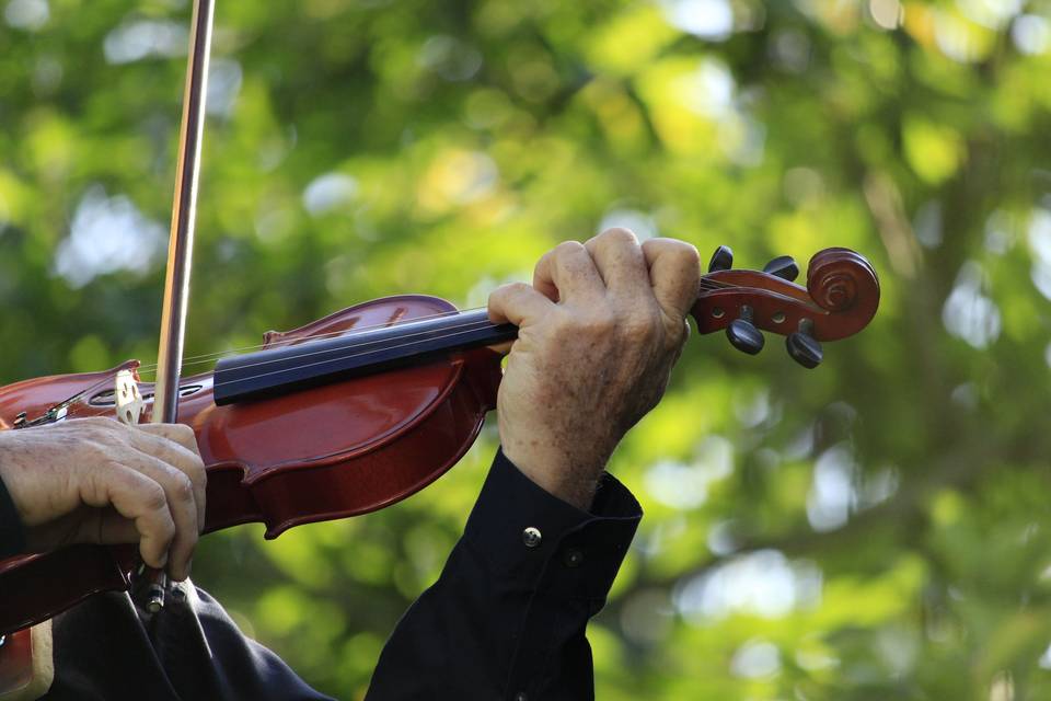 Martino Tortona Wedding Music