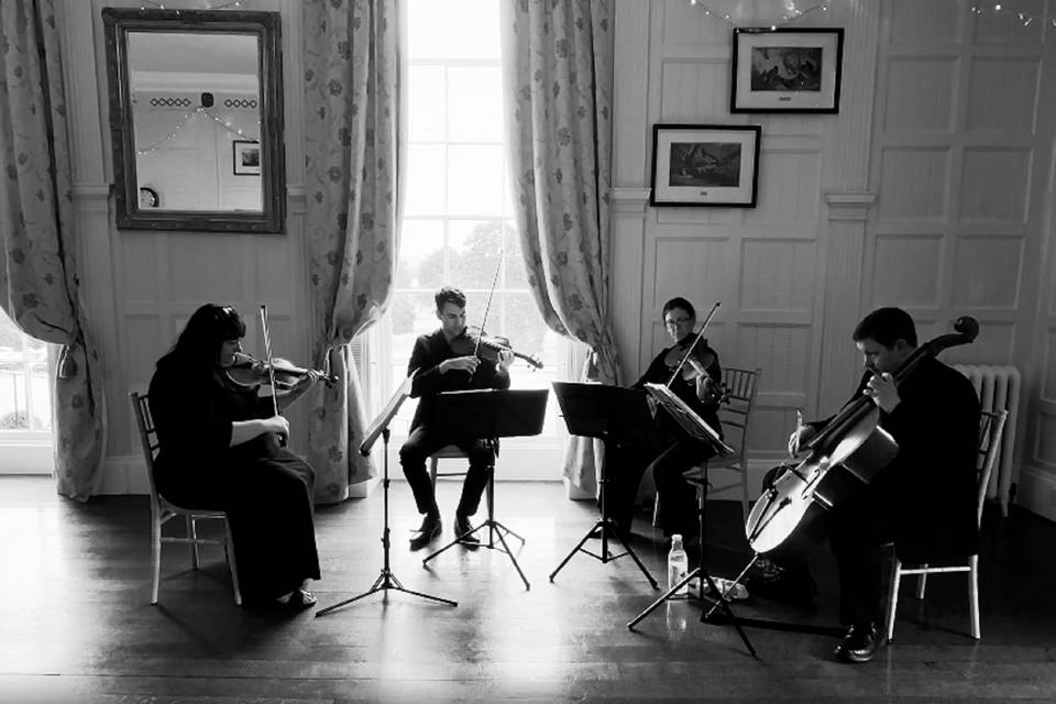 Martino Tortona Wedding Music