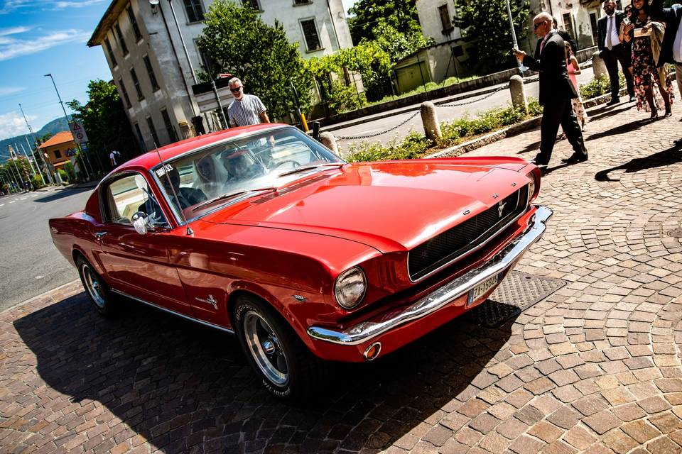 Mustang