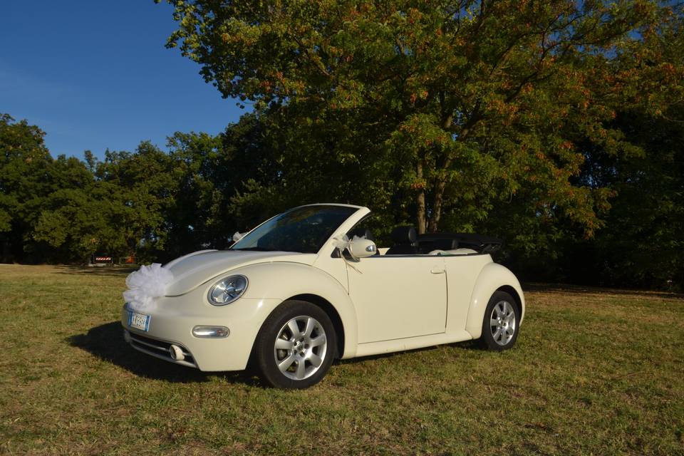 VW New Beetle Cabrio