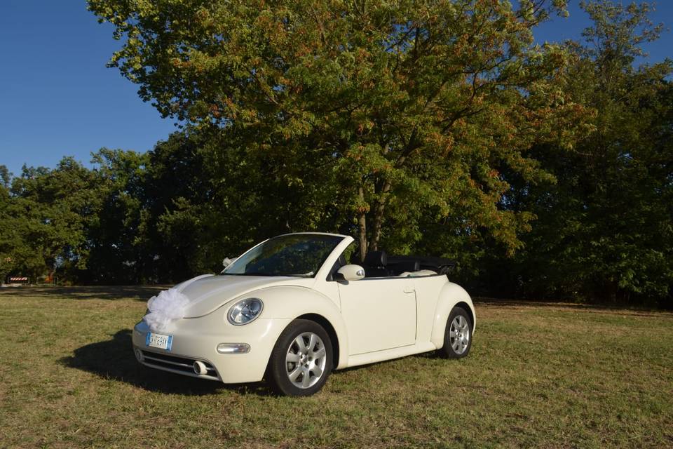 VW New Beetle Cabrio