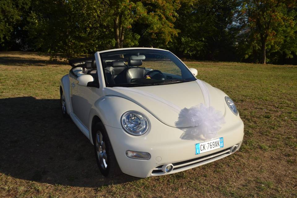 VW New Beetle Cabrio