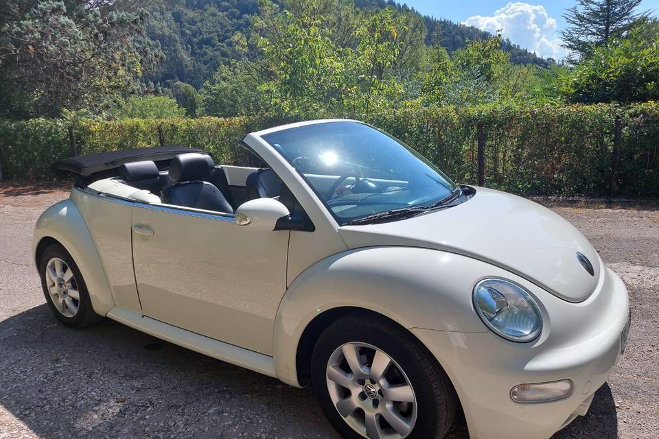 VW New Beetle Cabrio