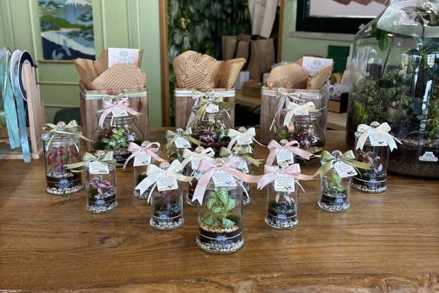 Aldilàdelvetro Terrarium