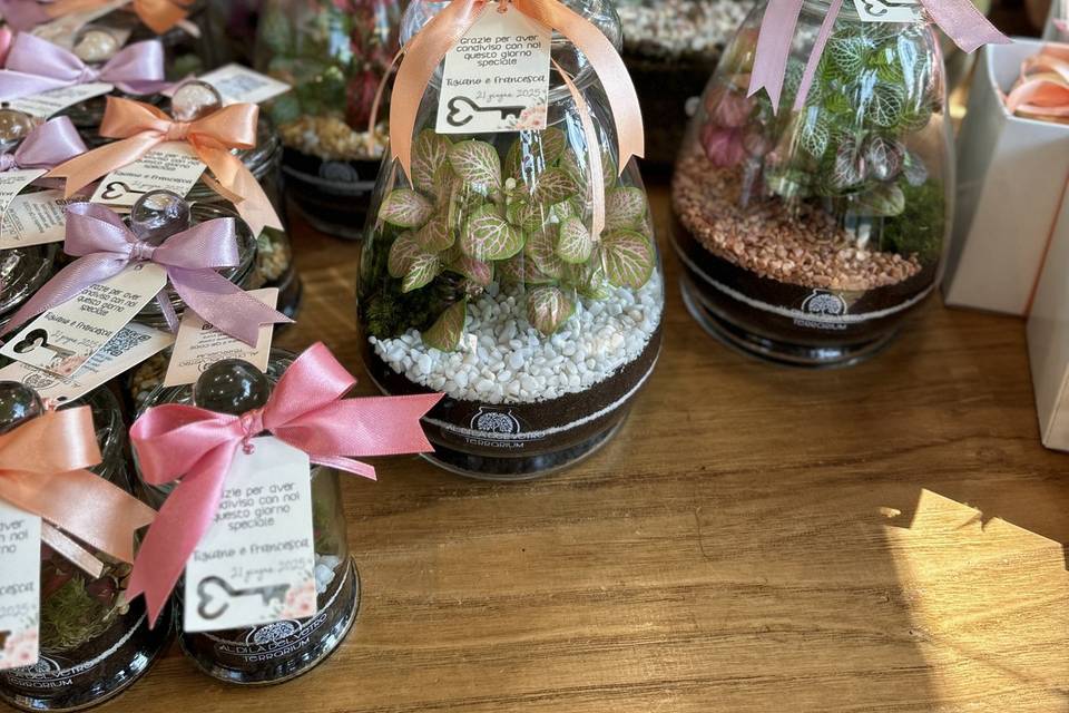 Matrimonio
