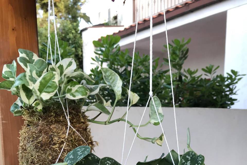 String garden