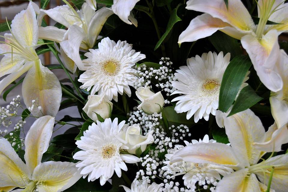 Gerbere e Lilium