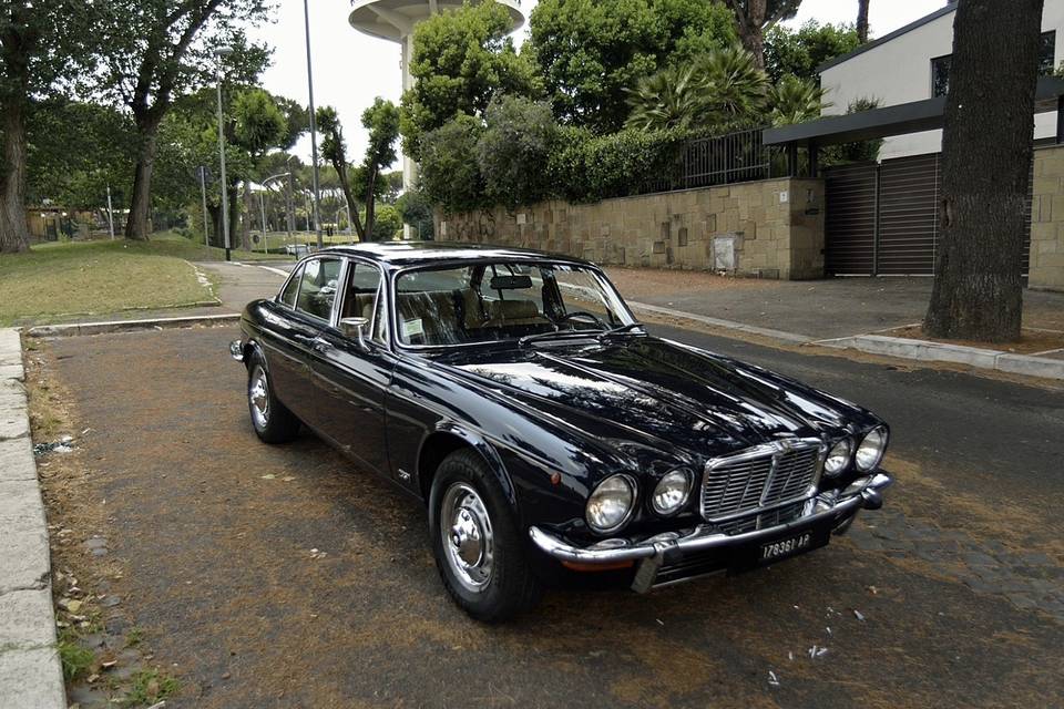 Jaguar