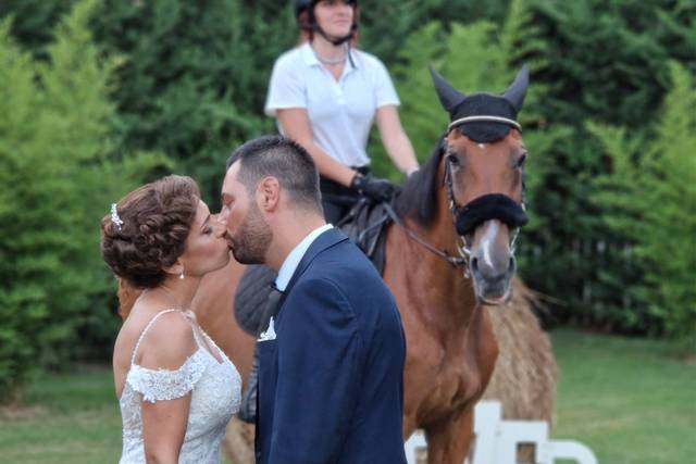 Amore Unico