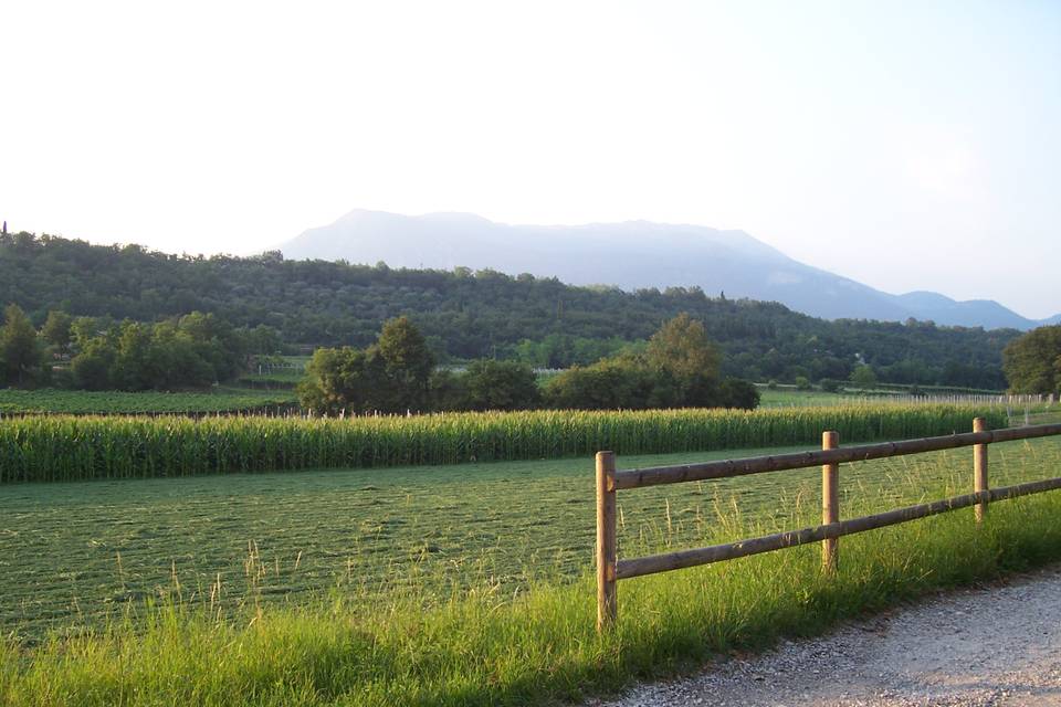 Antico Casale Tre Camini