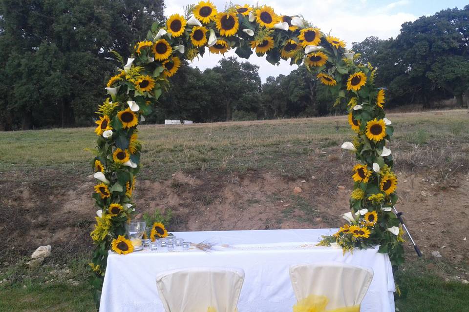 Arco di girasoli