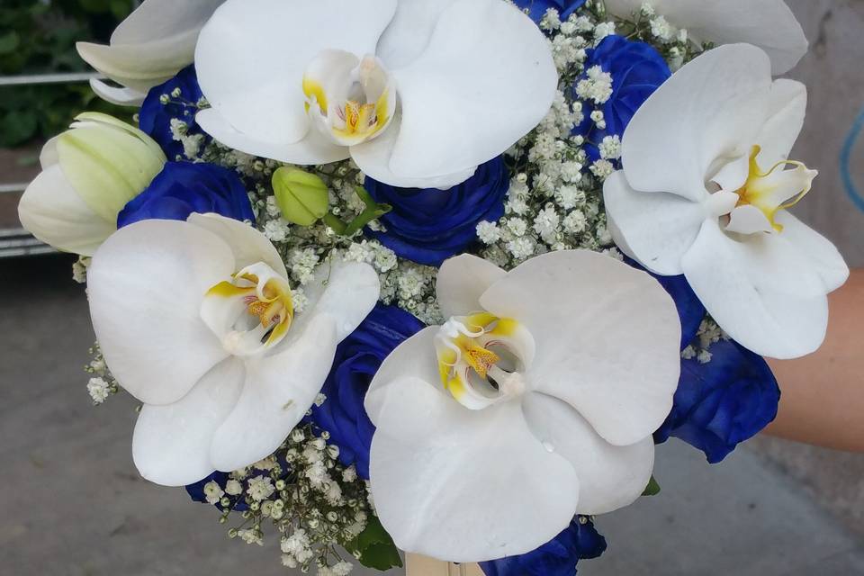 Bouquet phalaonopsis e rose bl