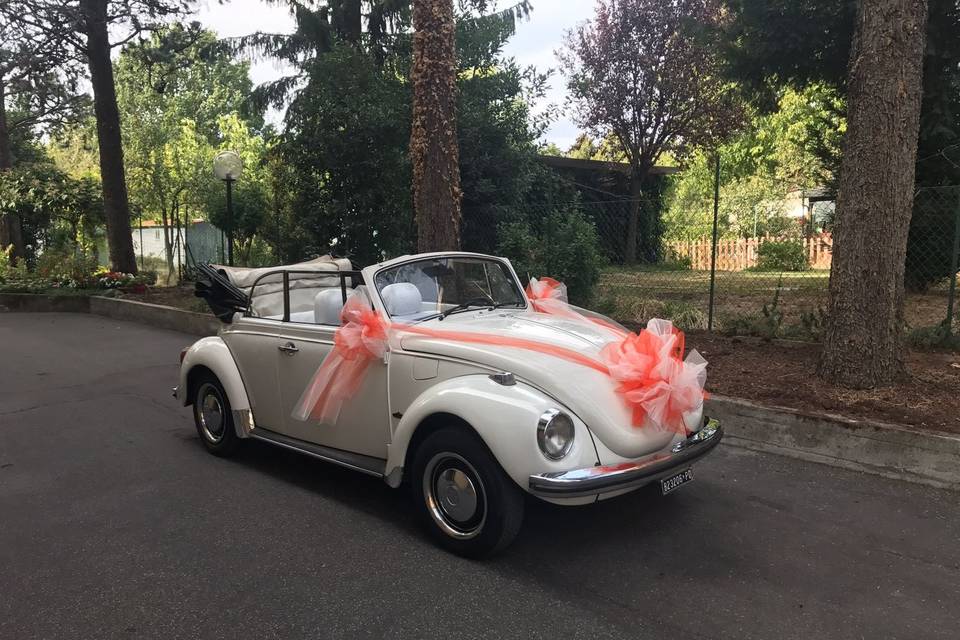 Maggiolino cabrio