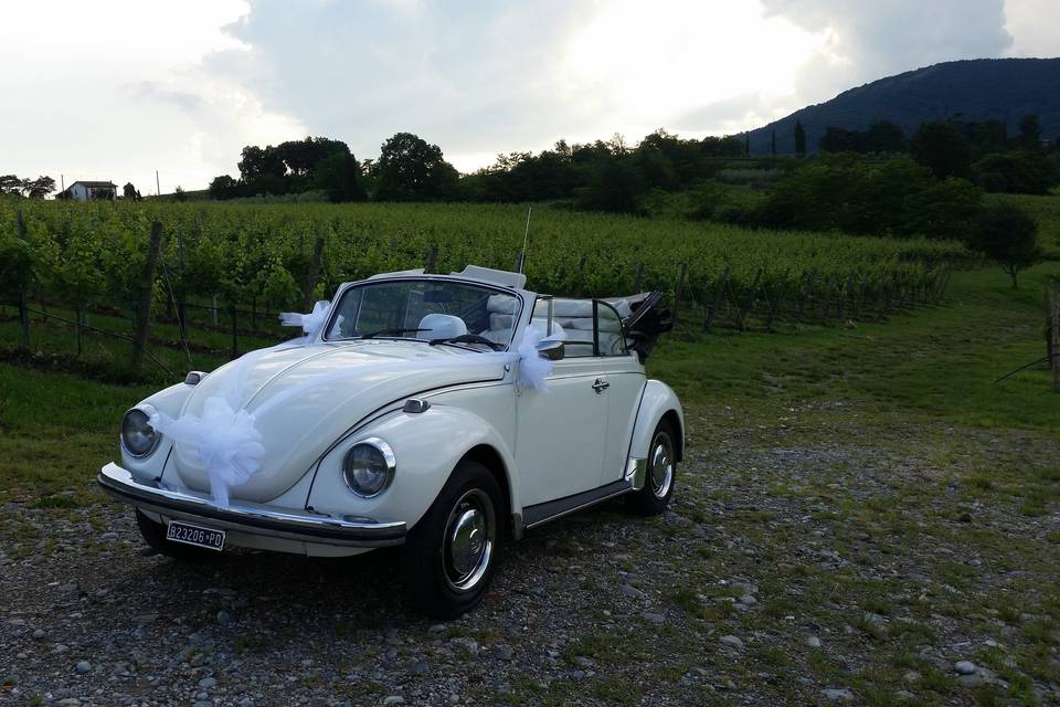 Maggiolino cabrio