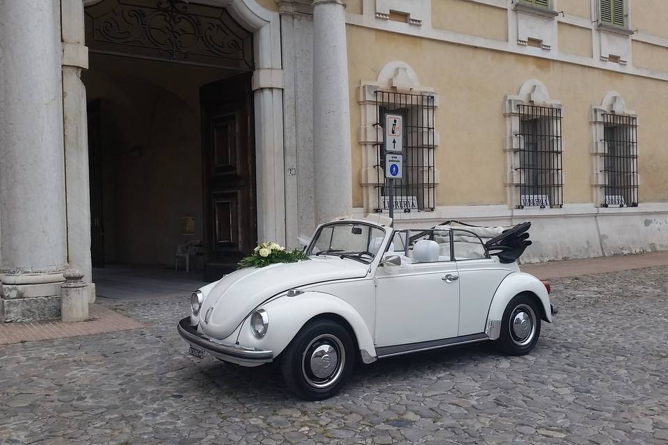 Maggiolino cabrio