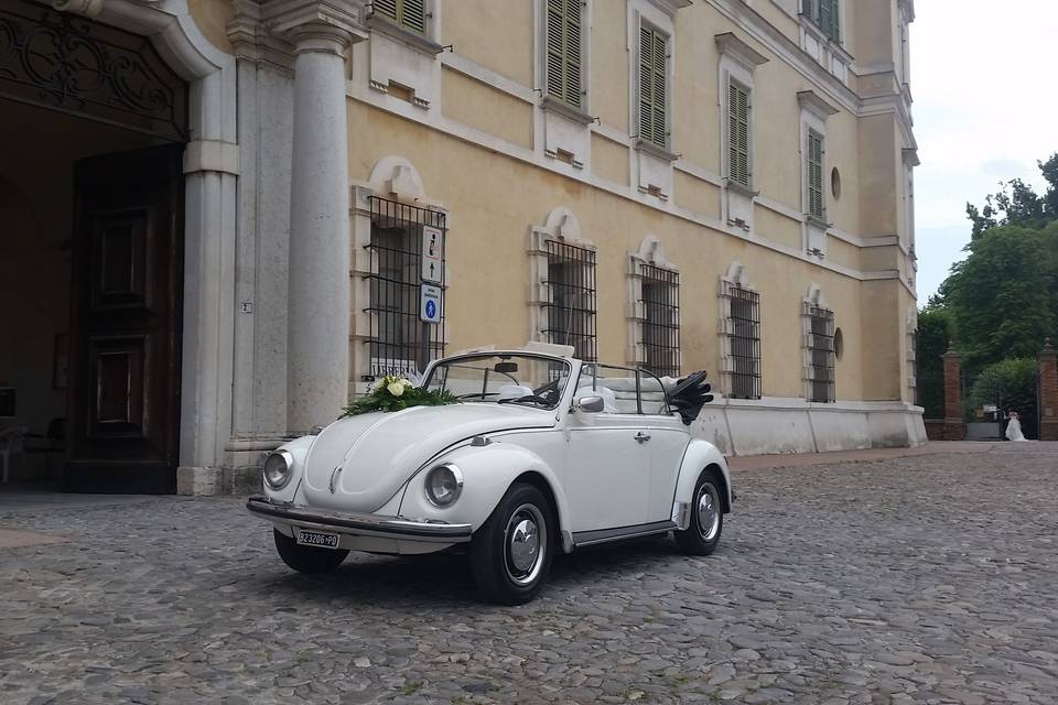 Maggiolino cabrio