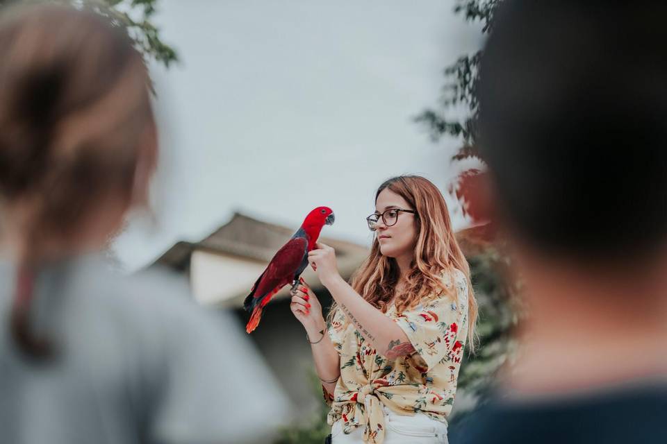 Spettacolo per matrimoni