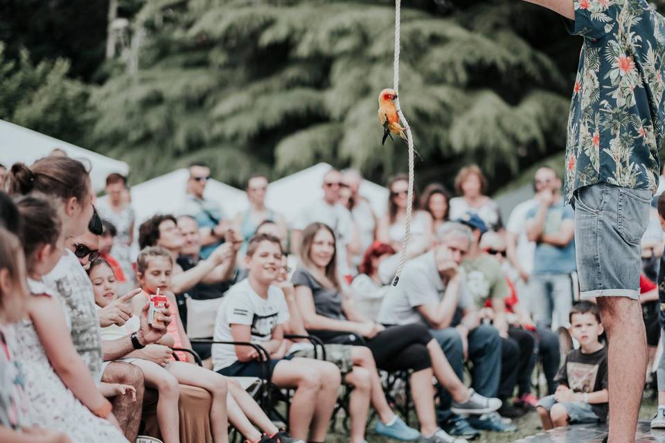 Spettacolo per matrimoni