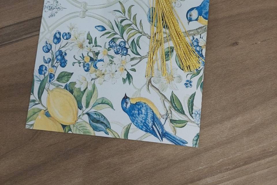 Collezione bird