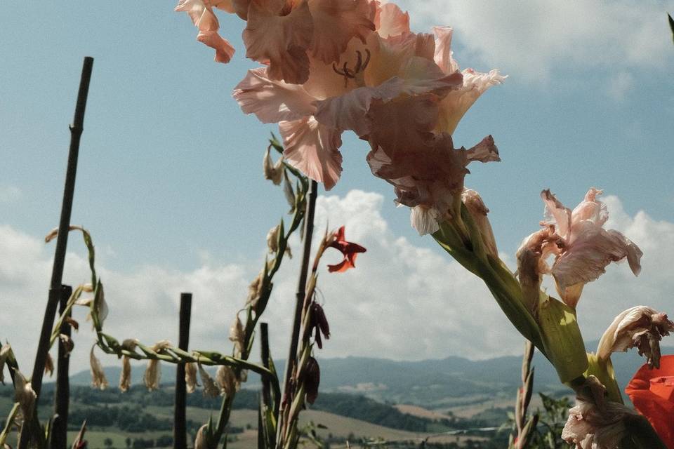 Il giardino
