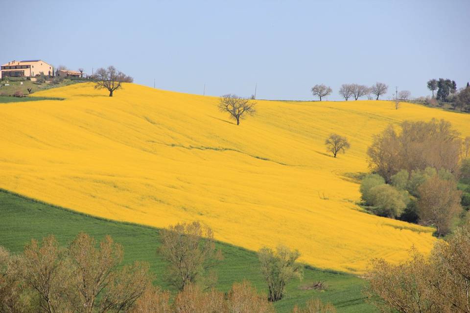 Solea Albergo di Campagna