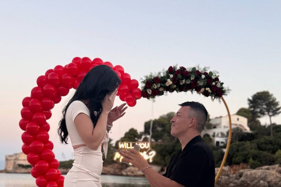 Proposal