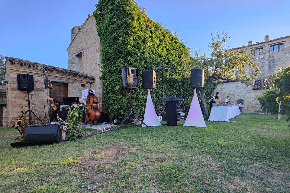 Wedding Party Live & Dj